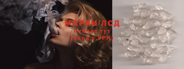 гидра Аркадак
