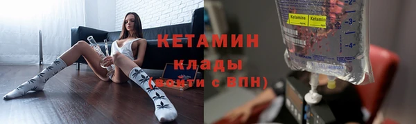 гидра Аркадак