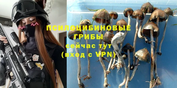 мескалин Армянск