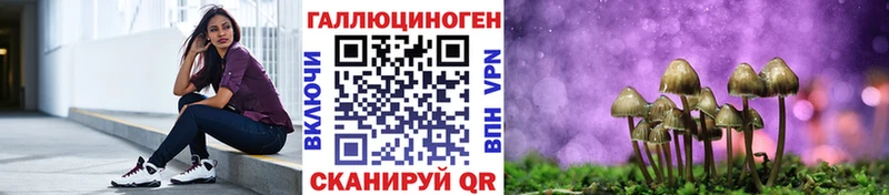 где купить наркотик  Малгобек  Галлюциногенные грибы MAGIC MUSHROOMS 